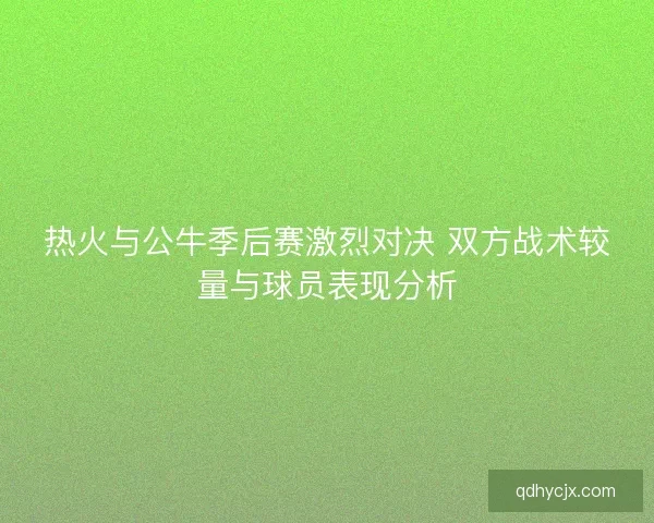 热火与公牛季后赛激烈对决 双方战术较量与球员表现分析